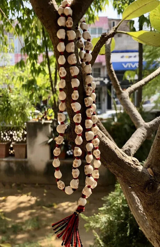 Dea kali nar mund mala - kali,