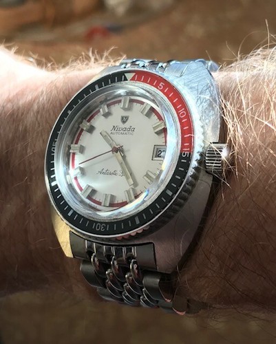 Nivada antarctic orologio - antarctic,