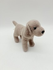 Douglas weimaraner cucciolo - douglas,