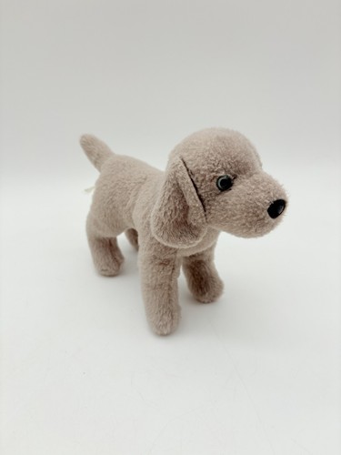 Douglas weimaraner cucciolo - douglas,