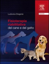 Fisioterapia riabilitativa dal