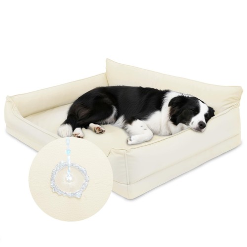 Cuccia cane interno - cane,