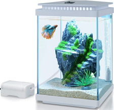Kit Acquario in Vetro 4L