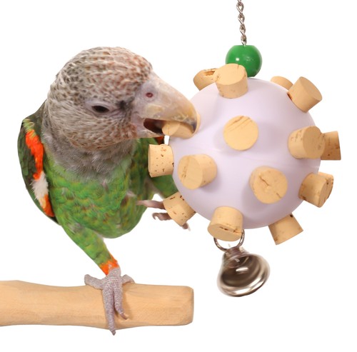 Cork orb medium pappagallo - cork,