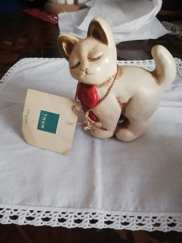 Raro gattino thun fuori - gattino,