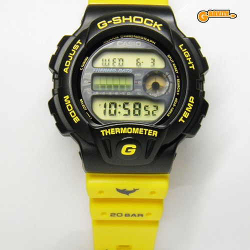 6100dw 4th dolphin whale - dw,