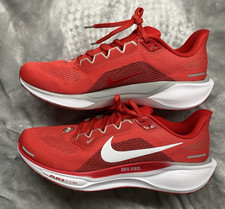 Nike Pegasus 41 scarpe da
