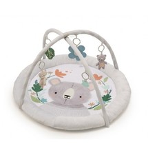 Palestrina Neonato con Giochi