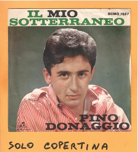 Solo copertina pino - *solo,