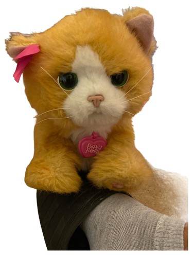 Hasbro furreal friends gatto - hasbro,