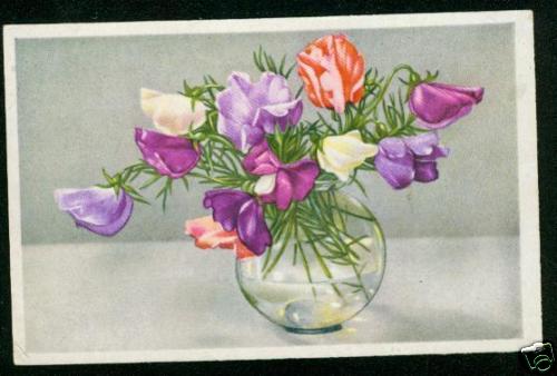 Blumen vase 1944 - blumen,,