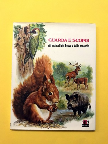 Gli animali del bosco - , della