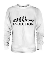Doberman Pinscher Evolution Of