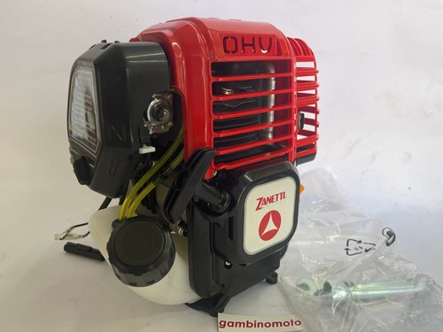 Motore scoppio zanetti per - motore,