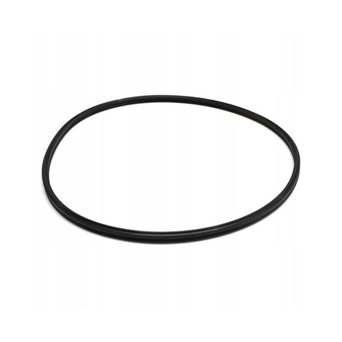 Eheim 7343150 guarnizione - 7343150,