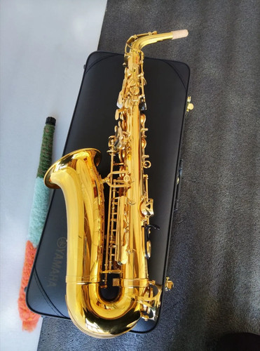 Sassofono contralto sax