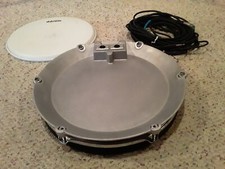 ddrum 4 (Solid Back) batteria