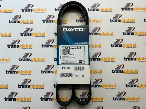 Cinghia trasmissione per range - cinghia,