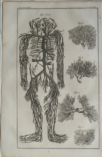 1766 antico stampa venature - 1766,