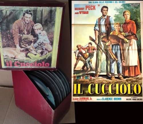 Film super8 cucciolo - film,