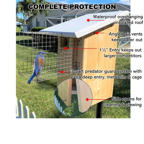 Hoverman bluebird house - bluebird, |