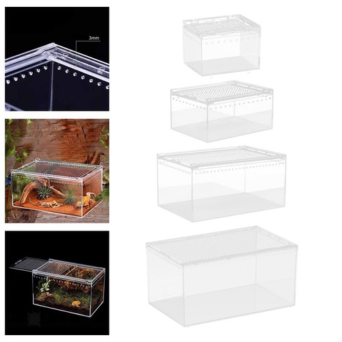 Boîte élevage reptiles - d'élevage, de