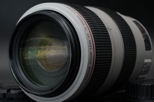 Canon 300 4 - 70-300, f/4-5.6