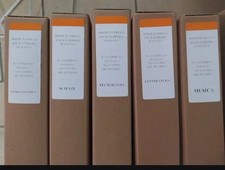 il Contributo Italiano Alla