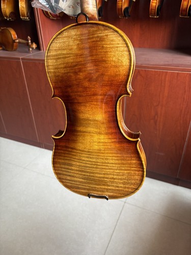 Violino professionale fatto - , a
