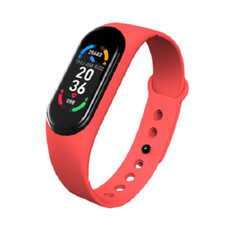 Smartband SGS Fit Plus