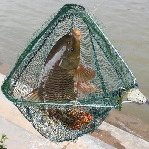 Rete pesca guadino - pesca,