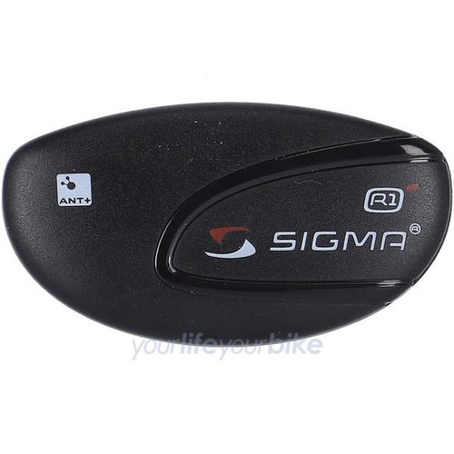 Sigma sport ant - sigma,