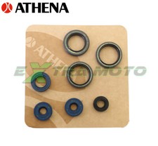 ATHENA P400010400013 Kit serie completa paraoli motore ROTAX 122