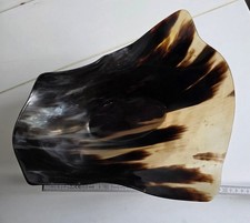 Non comune grande ciotola realizzata in corno di bufalo Ankole-Watusi