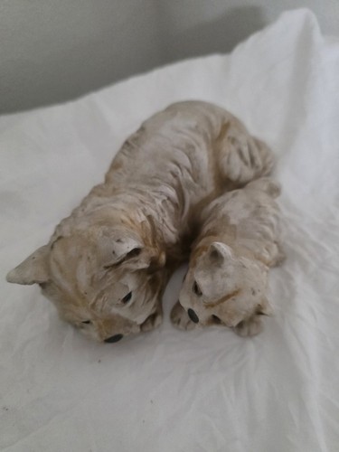 West highland white terrier - highland,