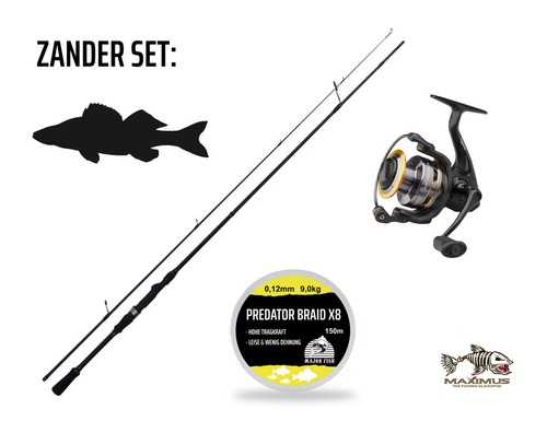 Set pesce predatore - , maximus