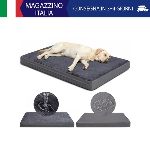 Cuccia cane interno - cuccia,