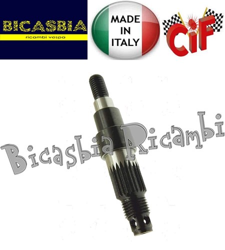 19382 cif albero alberino - -,