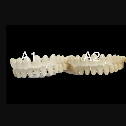 28pz set denti fai - fai,