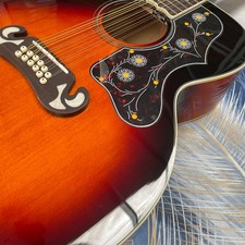 Acoustic Electric Guitar 12s