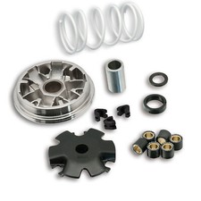 MF1693 VARIATORE MALOSSI