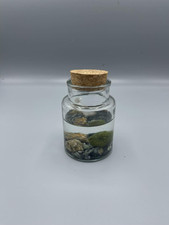 Barattolo Marimo, Alga palla