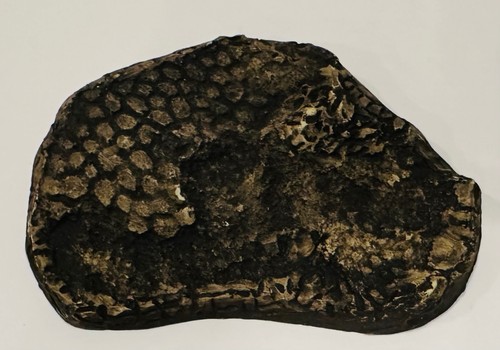 Replica fossile pelle - , di