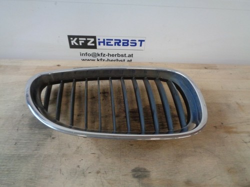 Griglia anteriore bmw e60 - anteriore, 5