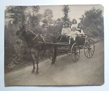 CAVALLO CALESSE ritratto ragazza bambini antica fotografia d'epoca vintage 1908