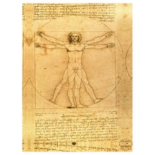 Stampa su tela - L'Uomo