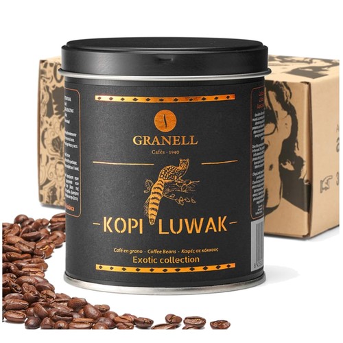 Wild civet caffè luwak - civet,