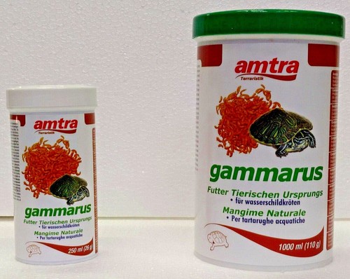 Amtra gammarus gamberetti - gammarus,