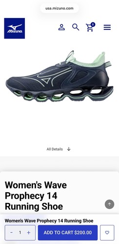 Mizuno wave prophecy - mizuno,