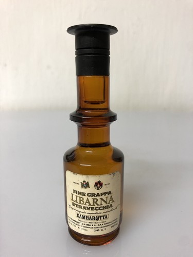 Mignon miniature gambarotta - miniature,